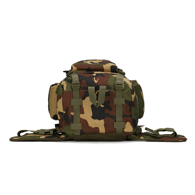 Sac à dos de randonnée sac à d - Lightweight Backpack 65L avis et prix